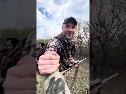 Caza de ciervos Axis - Sauce, Corrientes. 