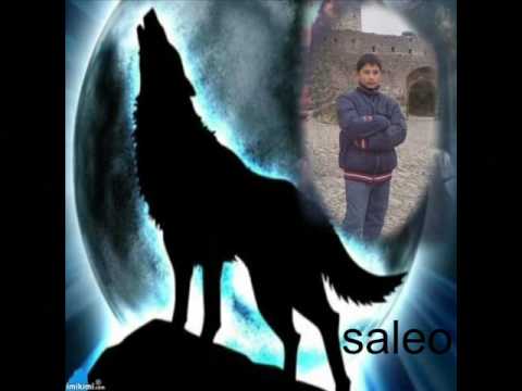 saleo xhuljo kucovvv