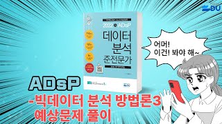 lADsP 완전 정복l 빅데이터 분석 방법론_3 / 예상문제 풀이
