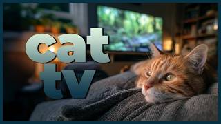 6 Hour Cat TV 🐱 Nature Watching Video for Cats to Watch | Relaxing Videos for Cats