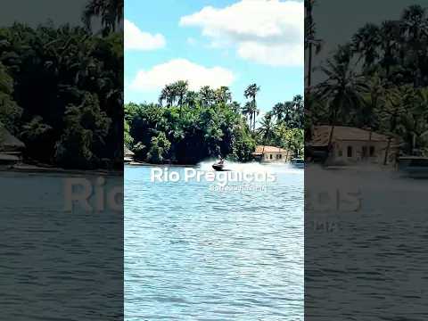 Rio preguiças em Barreirinhas Maranhão #maranhão #barreirinhas Maranhão #maranhão #barreirinhas
