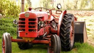 Carlene Carter- Sweet meant to be.wmv