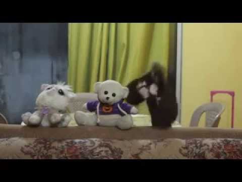 Cuando los animales hablan