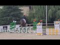 5 ans Hongre par Aganix du seigneur