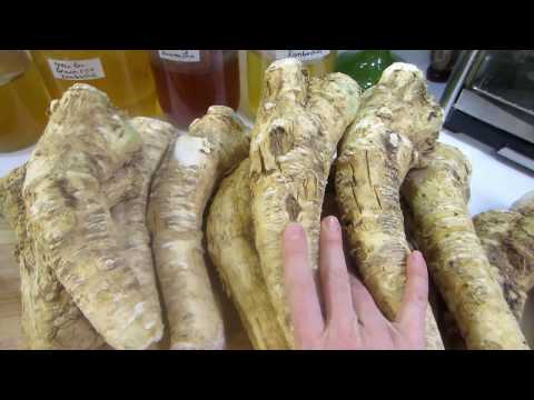 , title : 'Fermented Horseradish: Four Recipes