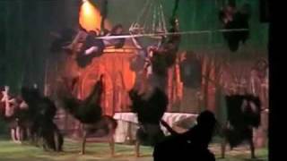 Tarzan: The Broadway Musical - Trashin&#39; The Camp LIVE (DUTCH)