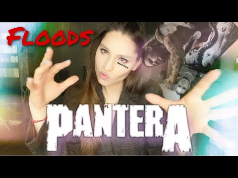 PANTERA - THE FLOODS - SEXIEST BadAssBand!!!!!! REACTION
