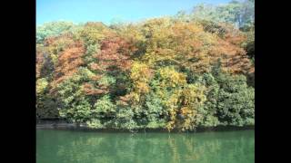 Elevator Song (Acoustic) - Dubstar