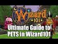 The Complete Guide To Pets In Wizard101
