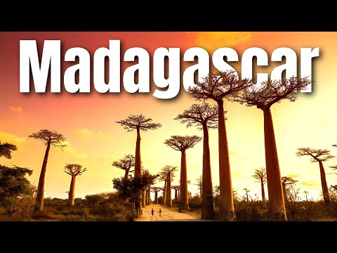 Amazing places to visit in Madagascar| Top 10 places to visit in Madagascar| Travel Video