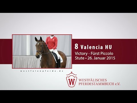 08 Valencia HU Stute v. Victory - Fürst Piccolo