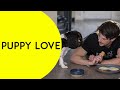 Puppy Love - (Grant Gustin, Lucy Hale) OFFICIAL TRAILER (2023)