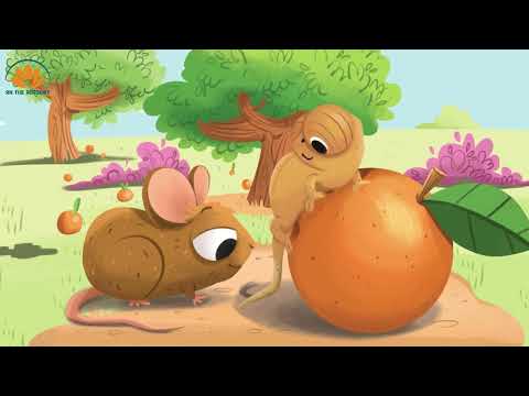 Pippa and Pop 2 - Unit 1 - Story: The colorful chameleon