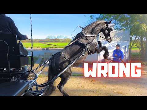 We Tried Again… But It Didn’t End Well | Honest Horse Vlog | Friesian Horses