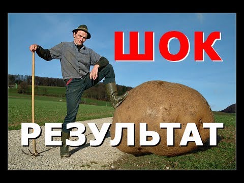 Скопления жидкости в коленном суставе Физкультура при остеоартрозе коленного сустава