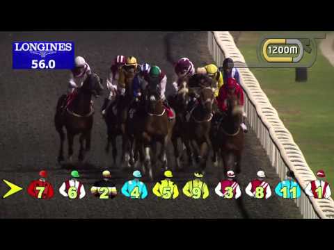 07.11.2013 Meydan (Dubai-UAE) 6.Race Emirates Skywards - Handicap 1.900 m