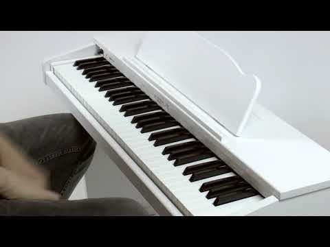 Zuhal Youtube Videos