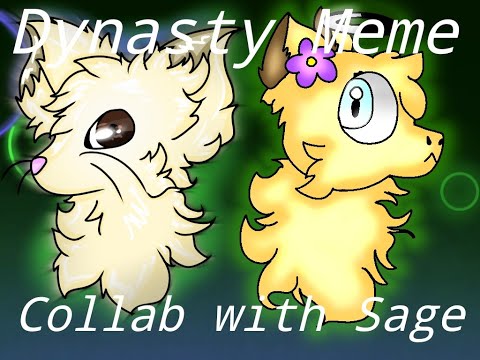 dynasty collab with sage the fox