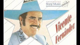 Vicente Fernandez Motivos