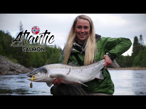 Laksefiskeri i Gaula i Norge