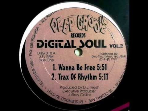 Digital Soul Vol.2 - Wanna Be Free