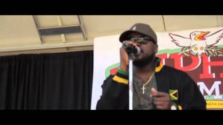 International Reggae Allstars at Hip Hop Harambee 2013 [LIVE]