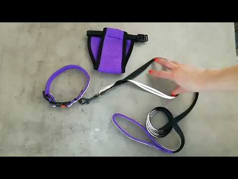 Труси гігієнічні Bronzedog Mesh регульовані 3D сітка Ментолові