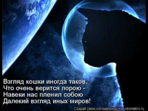 Lil neGGa EZID-Skuchayu.240.mp4