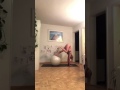 Backbends And Core Flow