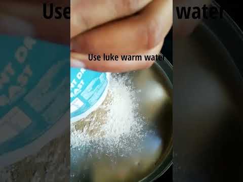 Yeast Powder