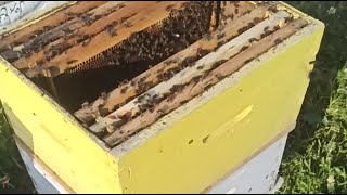 احذر العاسلة مملوءة للبيوت الملكية بعد المنخفض الجوي