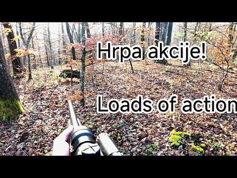 LOV NA DIVLJE SVINJE - Prosinac 2025 WILD BOAR Driven Hunt in Croatia #drückjagd #chasseausanglier 