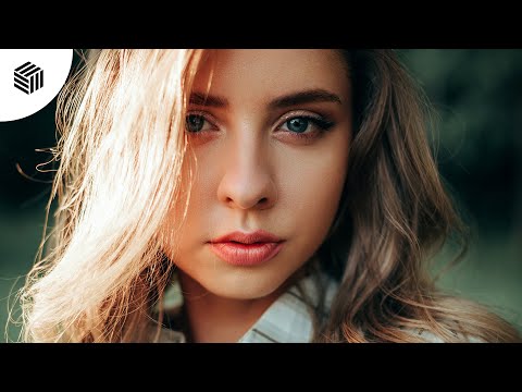 Wankelmut, De Hofnar & PLANT - Downtown