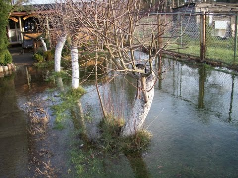 AWARIA NA ŚLUZIE W MICHAŁOWIE? PODTOPIONY BUDYNEK GOSPODARCZY W LETNIKACH – 03.01.2015