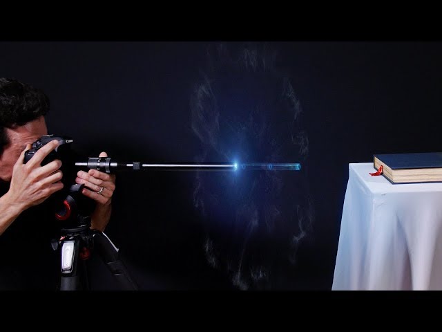 Shooting macro photography tips by macro room