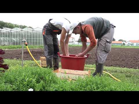 Reč struke ep. 198 21.08.2018. NAJAVA