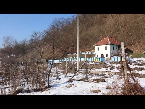 18.01.2020. PČELARSTVO ZAHTEVA MNOGO ZNANJA I POSVEĆENOSTI