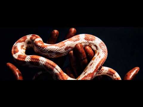 Funkineven Feat Jay Daniel - Discipline