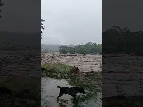 Río tocaría en el puente que conecta el casco urbano de #Nunchía con las veredas aledañas al pueblo2