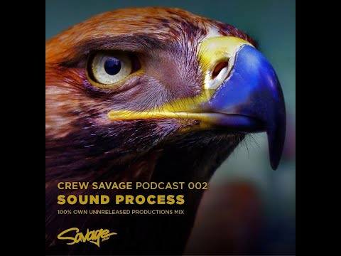 Sound Process - Crew Savage Podcast 002  - (100% own unreleased productions mix)