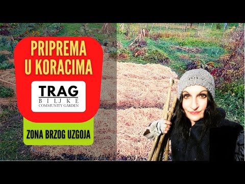 PREPARATION OF RAPID GROWING ZONE IN STEPS (2022) [TRACE OF THE PLANT]