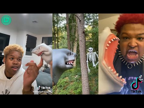 Shark Puppet Best TikTok Compilation 2020 | All Shark Puppet Funny Videos