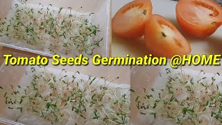 Tomato Seeds Germination @HOME || Propagation In Sealable Container