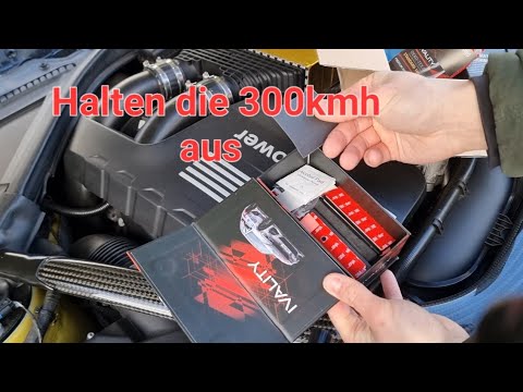 IVALITY MAGNETIC LICENSE PLATE HOLDER GOLF 8GTI - Assembly