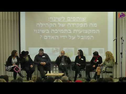 פאנל