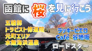 【ロードスターで函館ドライブ】五稜郭の桜/元町エリア/トラピスト修道院/水無海浜温泉/ラッキーピエロ/Café谷地坂