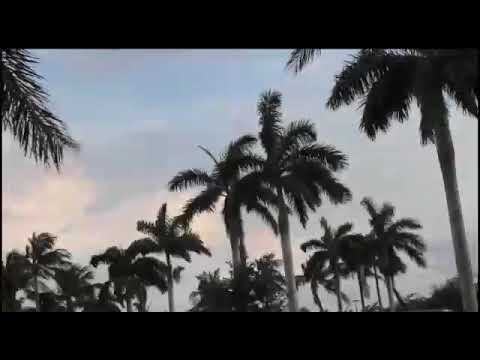 Nazzmar-Make Up (OFFICIAL VIDEO)