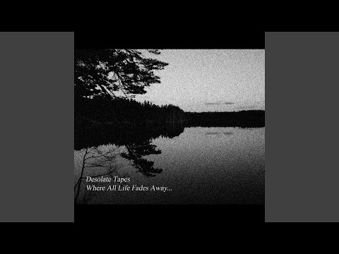 Everybody Dies Alone