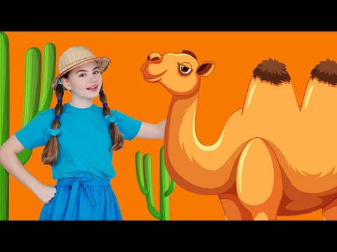 Alice the Camel ???? More Fun Animal Songs and Dance Party!