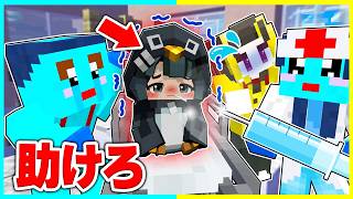 超可愛いググガガが風邪をひいた！？看病するマインクラフト【まいくら / マインクラフト】